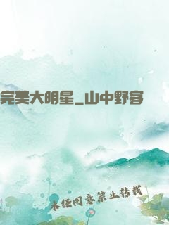 完美大明星