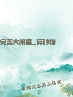 完美大明星