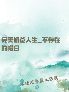 完美奶爸人生