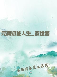 完美奶爸人生