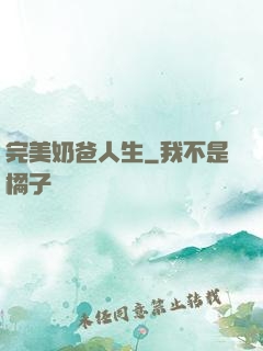 完美奶爸人生