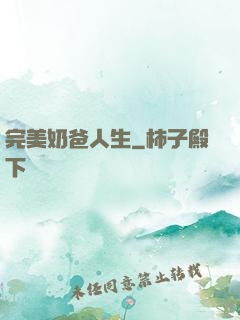 完美奶爸人生