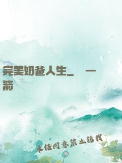 完美奶爸人生