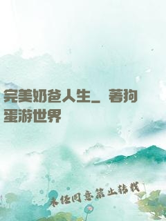 完美奶爸人生