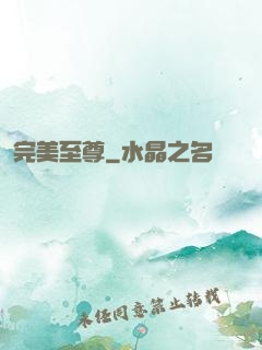 完美至尊