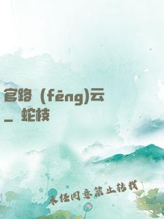 官路風(fēng)云