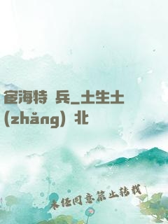 宦海特種兵