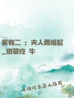 家有二寶：夫人要崛起