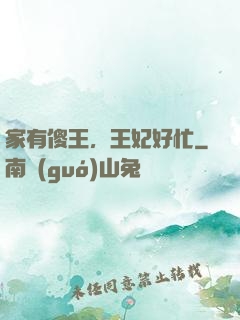 家有傻王，王妃好忙