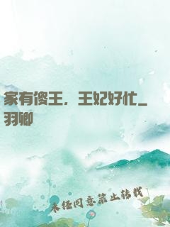 家有傻王，王妃好忙