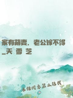 家有萌妻，老公嫁不得
