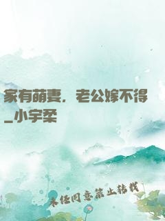 家有萌妻，老公嫁不得