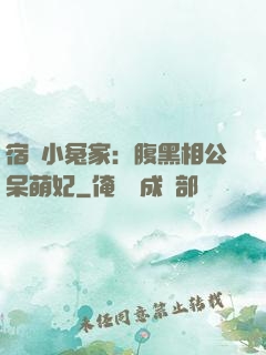 宿敵小冤家：腹黑相公呆萌妃