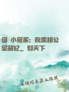 宿敵小冤家：腹黑相公呆萌妃