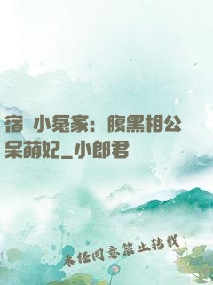 宿敵小冤家：腹黑相公呆萌妃
