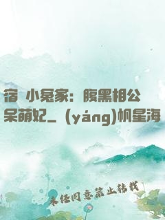 宿敵小冤家：腹黑相公呆萌妃