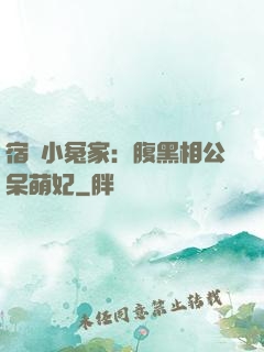 宿敵小冤家：腹黑相公呆萌妃
