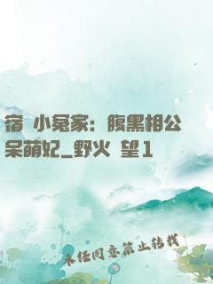 宿敵小冤家：腹黑相公呆萌妃
