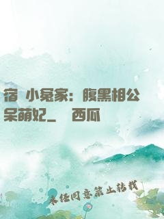 宿敵小冤家：腹黑相公呆萌妃