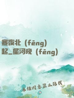 寒夜北風(fēng)起