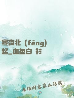 寒夜北風(fēng)起
