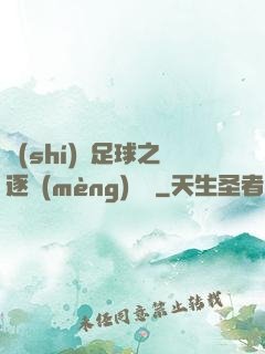 實(shí)況足球之逐夢(mèng)綠蔭