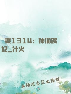 寵妻1314：神偷傻妃