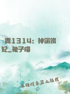 寵妻1314：神偷傻妃