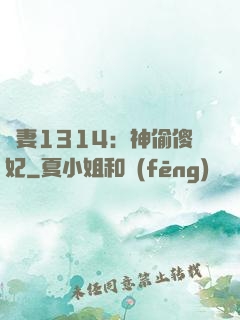 寵妻1314：神偷傻妃
