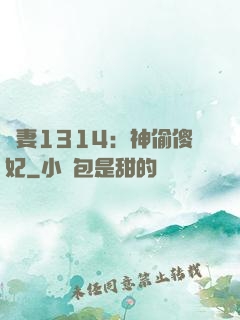 寵妻1314：神偷傻妃