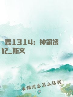 寵妻1314：神偷傻妃