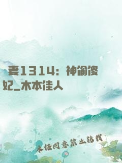 寵妻1314：神偷傻妃