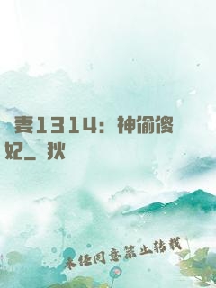 寵妻1314：神偷傻妃