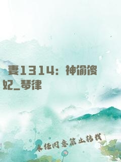 寵妻1314：神偷傻妃