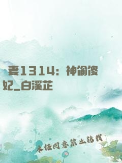 寵妻1314：神偷傻妃