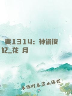 寵妻1314：神偷傻妃