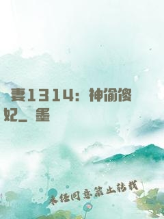 寵妻1314：神偷傻妃