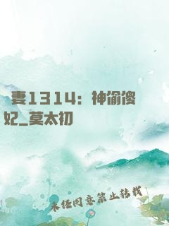 寵妻1314：神偷傻妃