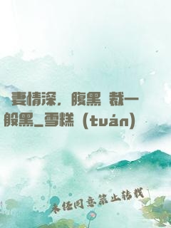 寵妻情深，腹黑總裁一般黑