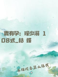 寶妻有孕：琛少溺寵108式
