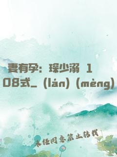 寶妻有孕：琛少溺寵108式
