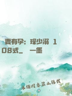 寶妻有孕：琛少溺寵108式