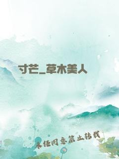 寸芒