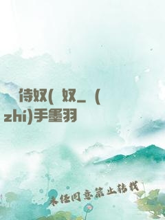 將軍侍奴(寢奴