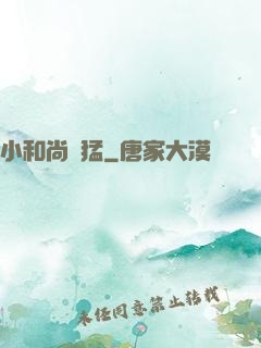 小和尚兇猛