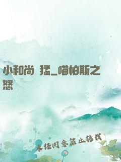 小和尚兇猛