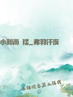 小和尚兇猛