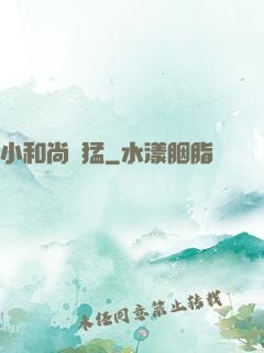 小和尚兇猛