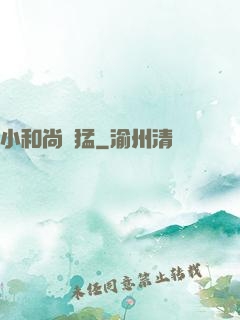 小和尚兇猛