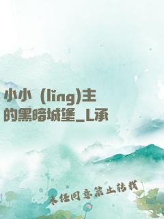 小小領(lǐng)主的黑暗城堡